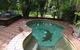 DARWIN'S SHADY ACRES RETREAT - thumb 13