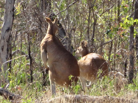 Mount Bundy Station - Holiday Adelaide 40