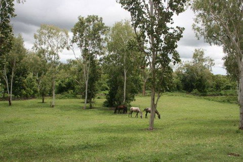 Mount Bundy Station - Holiday Adelaide 25