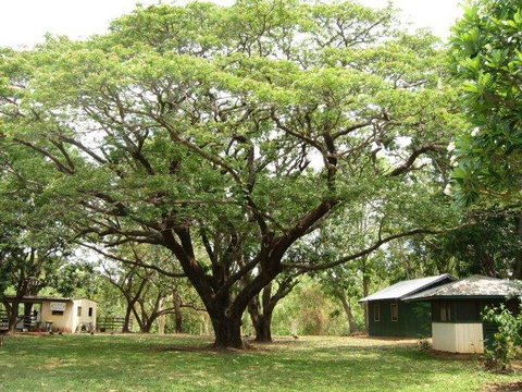 Mount Bundy Station - Holiday Adelaide 26