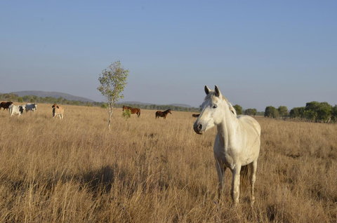 Mount Bundy Station - Holiday Adelaide 43