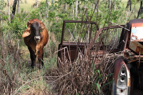 Mount Bundy Station - Holiday Adelaide 42