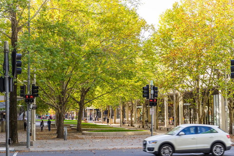 Highgate Executive Apartment City Walk Canberra - Holiday Adelaide 37