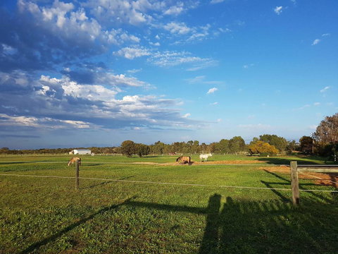 Bonsai B&B Stay - Holiday Adelaide 1