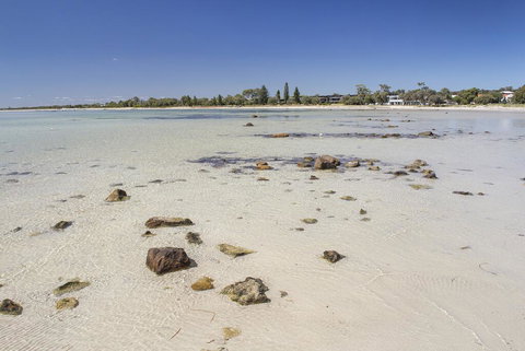Bottlebrush - Holiday Adelaide 2
