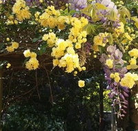 Bowral Road Bed and Breakfast - Holiday Adelaide