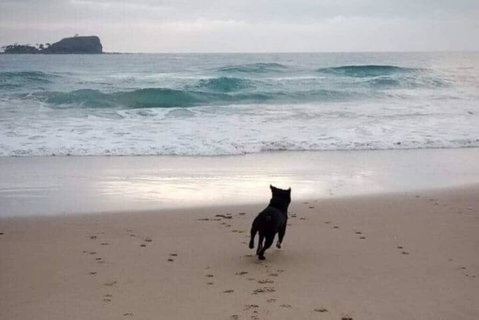 Breakers At Mudjimba Beach - Holiday Adelaide 0