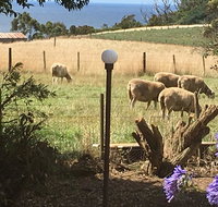 Cape View B and B - Holiday Adelaide