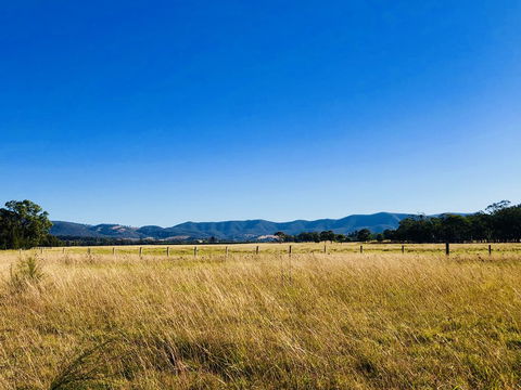 Charlotte Tiny House - Holiday Adelaide 2