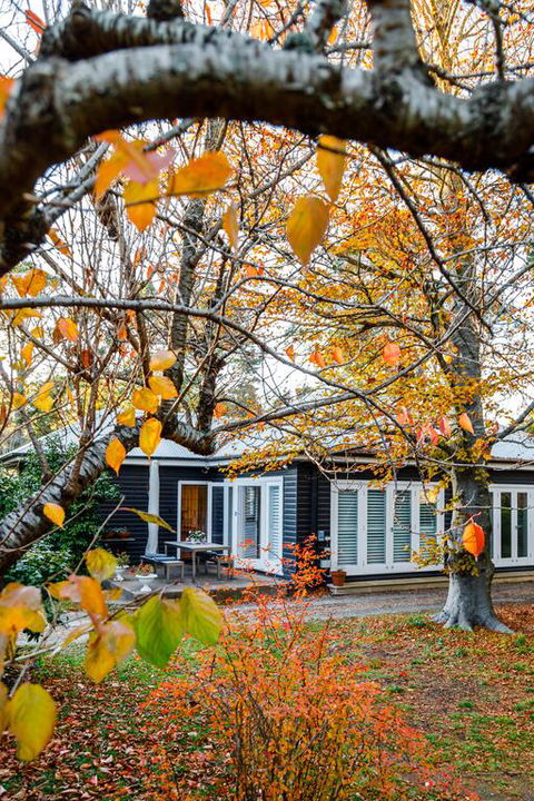 Charming Mountain Cottage - Holiday Adelaide 3