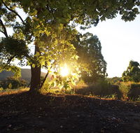 Clarendon Forest Retreat - Holiday Adelaide