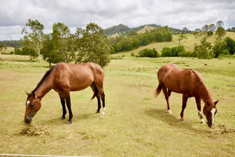 Country Breeze Farm Stay - Holiday Adelaide 1