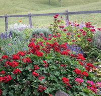 Country Mile Escape - Holiday Adelaide