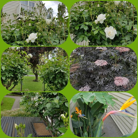 Creek Cottage Bed And Breakfast - Holiday Adelaide 3