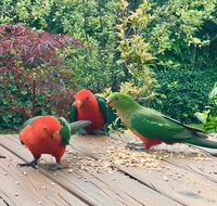 Crimson Villa - Holiday Adelaide