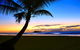 Daintree Rainforest Beach House - thumb 2