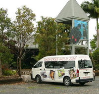 Daintree Wild Bed  Breakfast - Holiday Adelaide