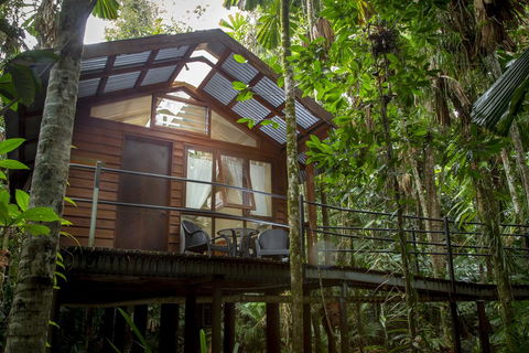 Daintree Wilderness Lodge - Holiday Adelaide 2
