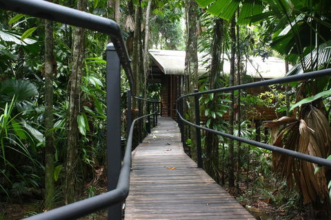 Daintree Wilderness Lodge - Holiday Adelaide 0