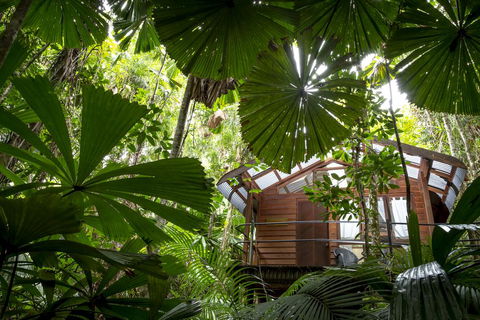 Daintree Wilderness Lodge - Holiday Adelaide 1