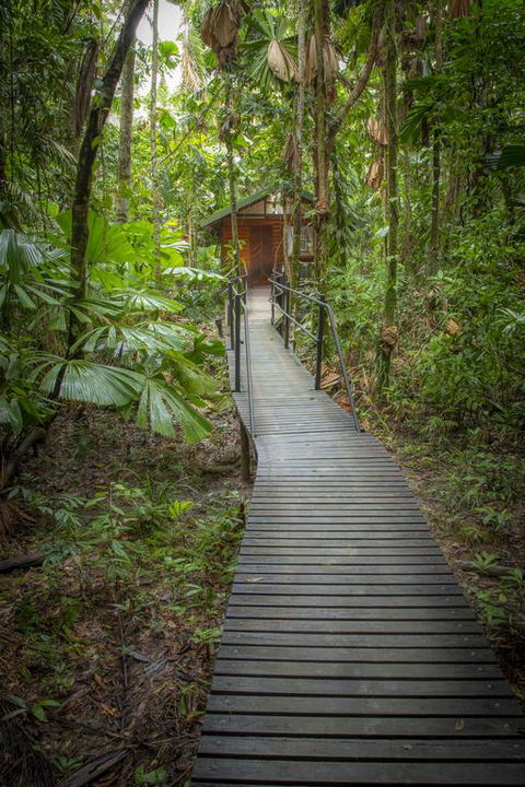 Daintree Wilderness Lodge - Holiday Adelaide 3