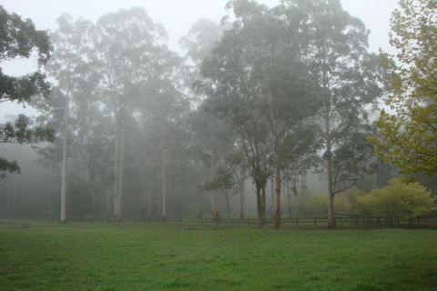 Dingley Dell - Holiday Adelaide 2