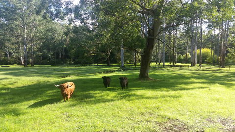 Dingley Dell - Holiday Adelaide 3