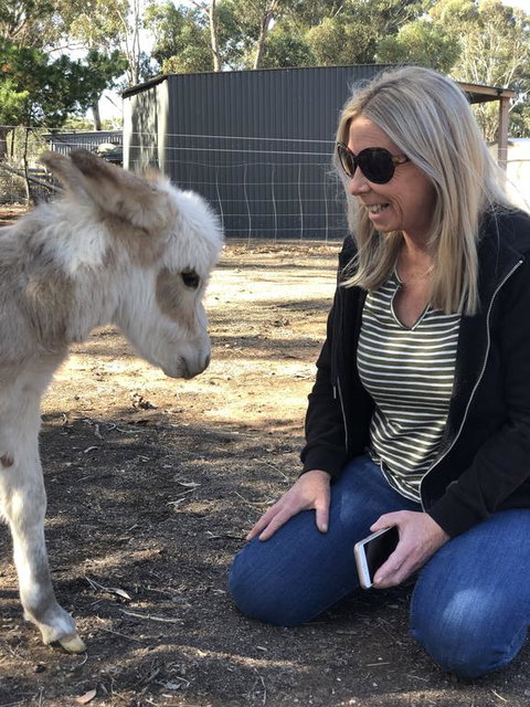 Donkey Tales Farm Cottages - Holiday Adelaide 1