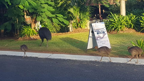 Driftwood Bed And Breakfast - Holiday Adelaide 1