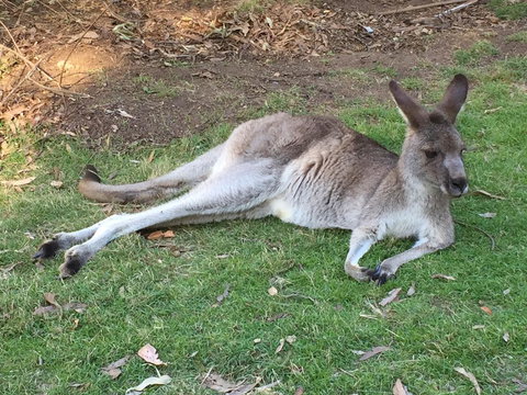 Eden Golf View Motel - Holiday Adelaide 2