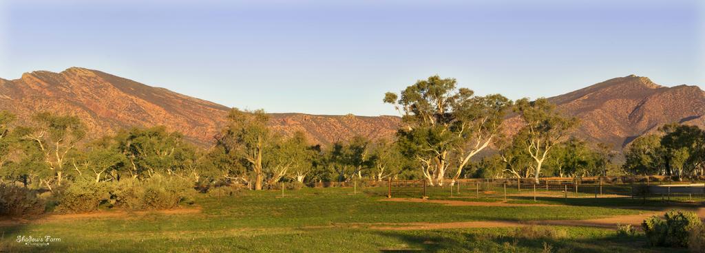 Flinders Ranges SA Holiday Adelaide