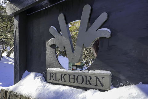 Elkhorn 11 - Holiday Adelaide 2