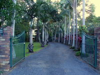 Emerald Tropical Palms B  B