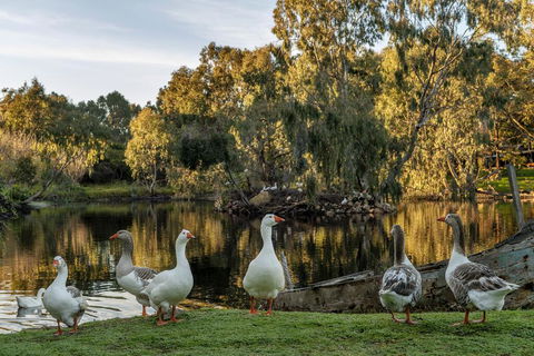 Empire Spa Retreat - Holiday Adelaide 2