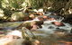 Fishery Falls Holiday Park - thumb 1