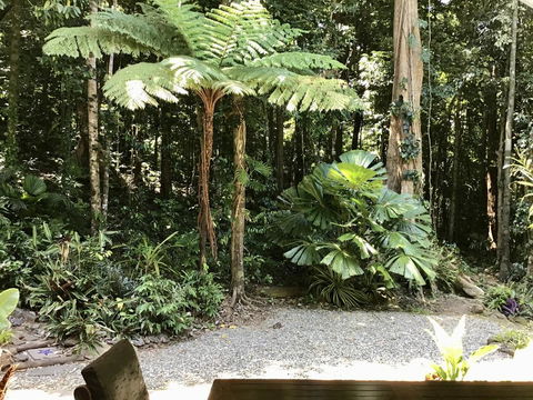 Forest Views Daintree - Holiday Adelaide 0