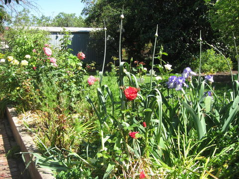 Goat Square Cottages - Holiday Adelaide 2