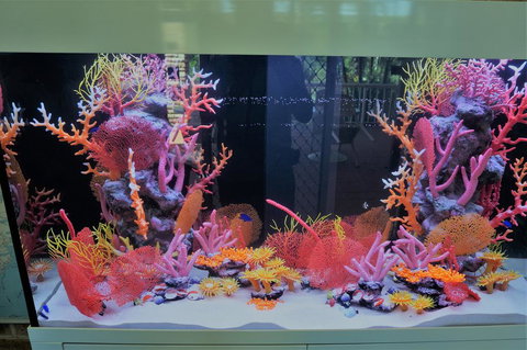 Gosford Inn Motel - Holiday Adelaide 1