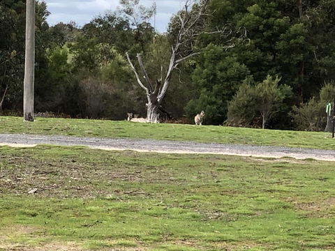 Grampians Old Man Emu Stay - Holiday Adelaide 3