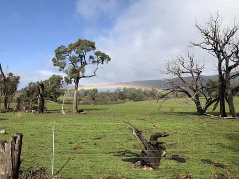 Grampians Old Man Emu Stay - Holiday Adelaide 2