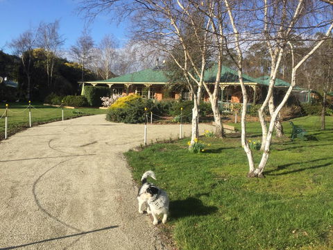 Green Gables B&B - Holiday Adelaide 1