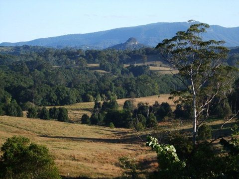 Grey Gum Lodge - Holiday Adelaide 0