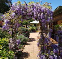 Gumtree House Montville - Holiday Adelaide