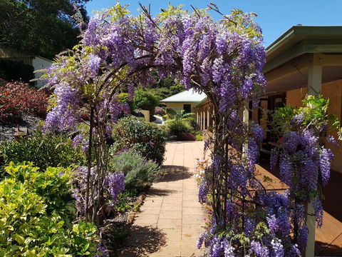 Gumtree House Montville - Holiday Adelaide 0