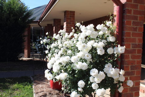 Gundaroo Manor Bed & Breakfast - Holiday Adelaide 3