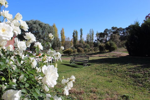 Gundaroo Manor Bed & Breakfast - Holiday Adelaide 2