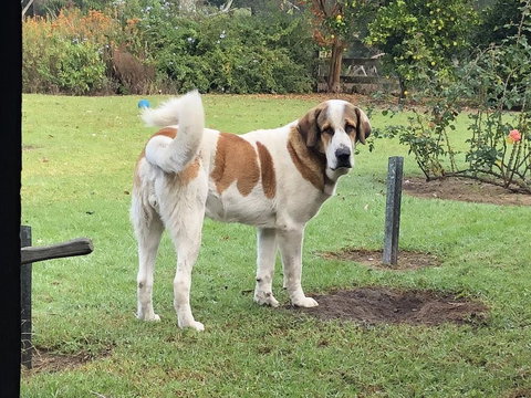 Gzone Farmstay - Holiday Adelaide 1