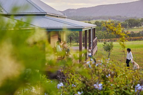 Hanging Tree Wines - Holiday Adelaide 3