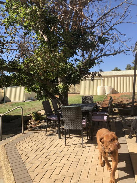 Happy Hours - Holiday Adelaide 2