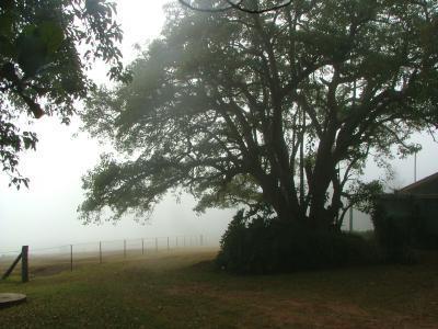 Hillview Cottages - Holiday Adelaide 3